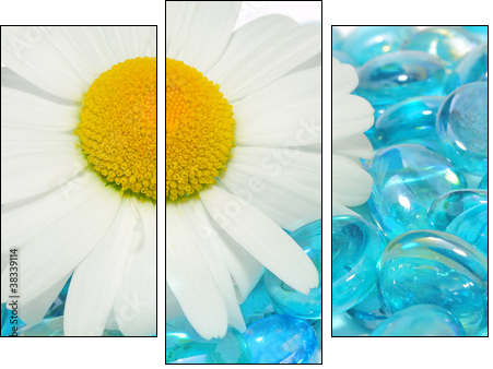Daisy Flowers on Blue Glass Stones - Dreiteiliges Leinwandbild, Triptychon