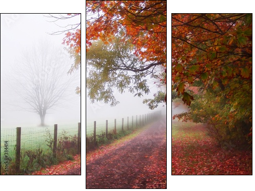 misty autumn morning - Dreiteiliges Leinwandbild, Triptychon