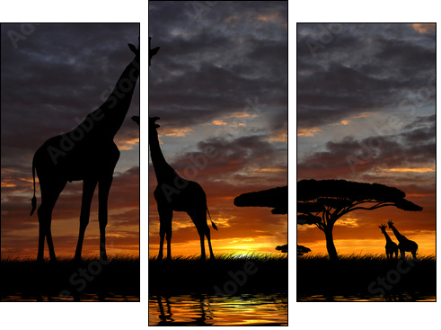 giraffes in the sunset - Dreiteiliges Leinwandbild, Triptychon