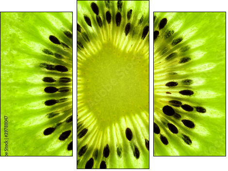 Fresh Kiwi background / SuperMacro / back lit - Dreiteiliges Leinwandbild, Triptychon