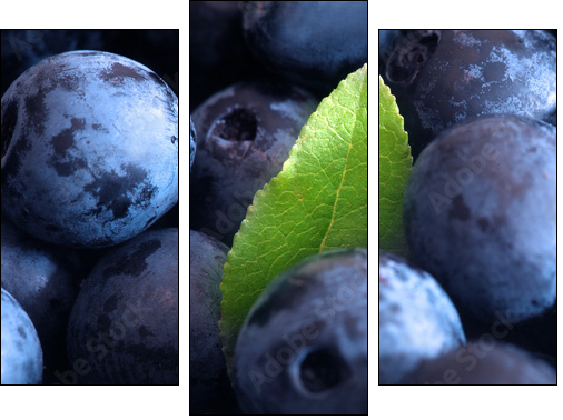 Macro shot of wet fresh blueberry - Dreiteiliges Leinwandbild, Triptychon