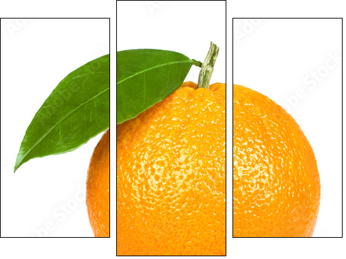 Ripe orange isolated on white background - Dreiteiliges Leinwandbild, Triptychon