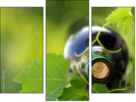 Bottle of wine between grapevine leves. - Dreiteiliges Leinwandbild, Triptychon