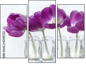 Tulpen - Dreiteiliges Leinwandbild, Triptychon