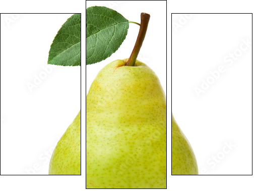 pears isolated on white background - Dreiteiliges Leinwandbild, Triptychon