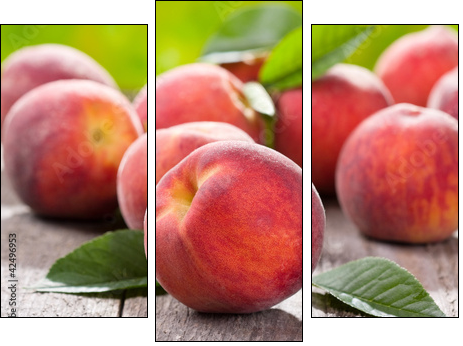 fresh peaches - Dreiteiliges Leinwandbild, Triptychon