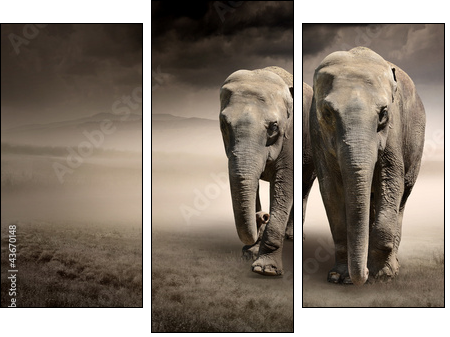 Pair of elephants in motion - Dreiteiliges Leinwandbild, Triptychon
