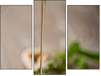 wild honey - Dreiteiliges Leinwandbild, Triptychon