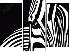 zebra - Dreiteiliges Leinwandbild, Triptychon