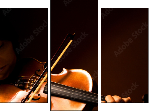 violoniste - Dreiteiliges Leinwandbild, Triptychon