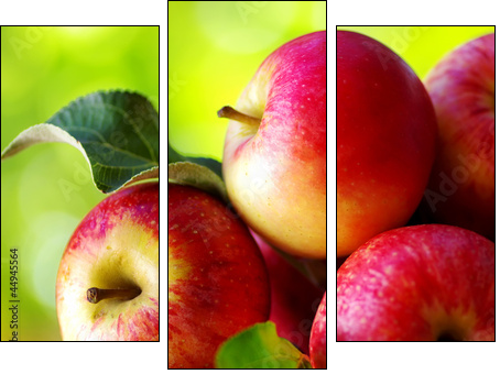 ripe red apples on table - Dreiteiliges Leinwandbild, Triptychon