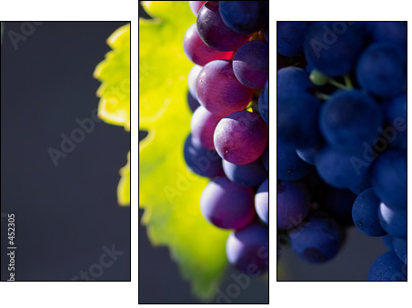 glowing dark wine grapes - Dreiteiliges Leinwandbild, Triptychon