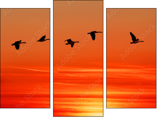 To home - Dreiteiliges Leinwandbild, Triptychon