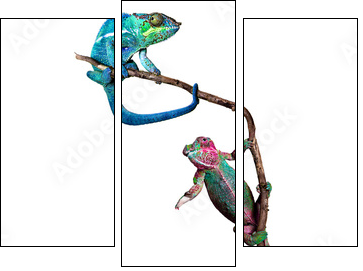 nach oben - Dreiteiliges Leinwandbild, Triptychon