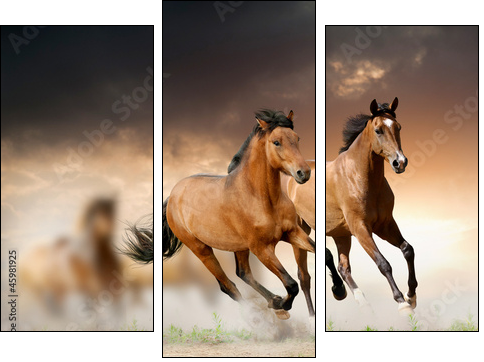 horses in sunset - Dreiteiliges Leinwandbild, Triptychon