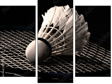 Shuttlecock on badminton racket - Dreiteiliges Leinwandbild, Triptychon