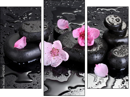 Spa stones with drops and pink sakura flowers - Dreiteiliges Leinwandbild, Triptychon