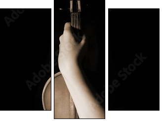 old violin - Dreiteiliges Leinwandbild, Triptychon