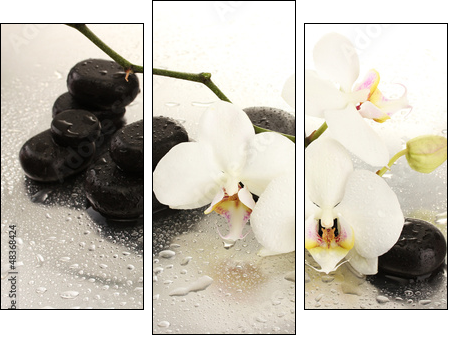 Spa stones and orchid flowers, isolated on white. - Dreiteiliges Leinwandbild, Triptychon