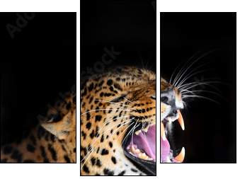 Leopard - Dreiteiliges Leinwandbild, Triptychon