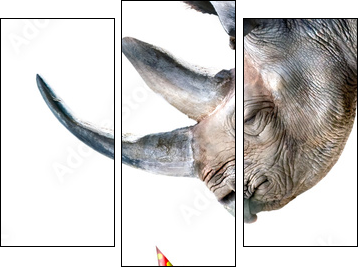 Ã¤h...nur Deko - Dreiteiliges Leinwandbild, Triptychon