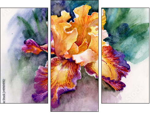 Yellow iris - Dreiteiliges Leinwandbild, Triptychon