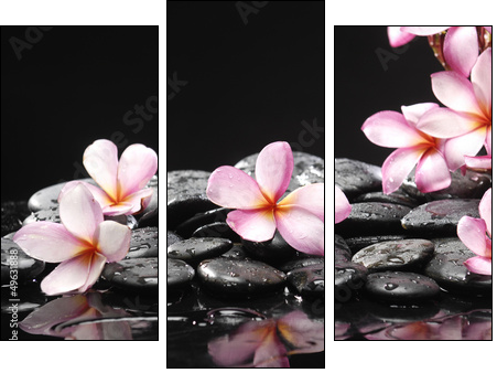 Set of frangipani with zen stones - Dreiteiliges Leinwandbild, Triptychon
