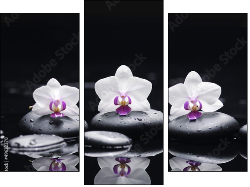 orchid flower and stones in water drops - Dreiteiliges Leinwandbild, Triptychon