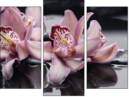 spa concept âgorgeous pink orchid and zen stones - Dreiteiliges Leinwandbild, Triptychon