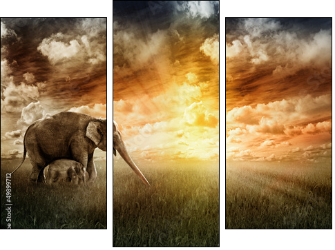 Abendfarben - Dreiteiliges Leinwandbild, Triptychon