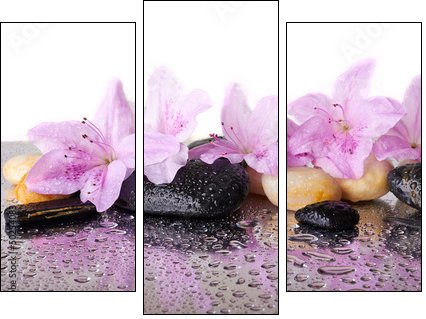 Pink flowers and black stones - Dreiteiliges Leinwandbild, Triptychon
