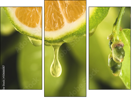 Drop of juice from a sliced lemon - Dreiteiliges Leinwandbild, Triptychon