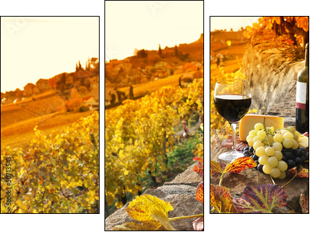 Glass of red wine on the terrace vineyard in Lavaux region, Swit - Dreiteiliges Leinwandbild, Triptychon