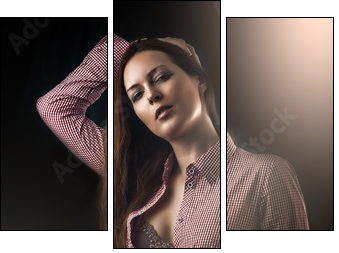 Young sexy woman wearing shorts - Dreiteiliges Leinwandbild, Triptychon