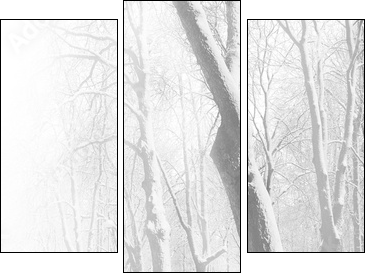 Red benches in the fog in winter - Dreiteiliges Leinwandbild, Triptychon