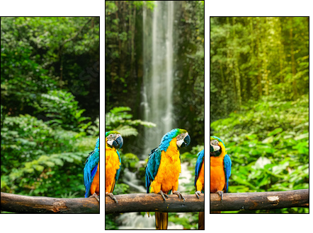 Blue-and-Yellow Macaw - Dreiteiliges Leinwandbild, Triptychon