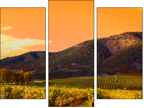 Vineyard Sunset - Dreiteiliges Leinwandbild, Triptychon