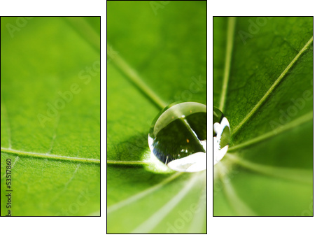 Water drop on green leaf - Dreiteiliges Leinwandbild, Triptychon