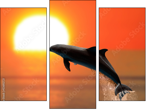 Dolphins at sunset - Dreiteiliges Leinwandbild, Triptychon
