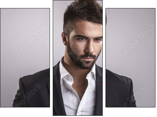Elegant young handsome man. Studio fashion portrait. - Dreiteiliges Leinwandbild, Triptychon