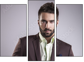 Elegant young handsome man. Studio fashion portrait. - Dreiteiliges Leinwandbild, Triptychon