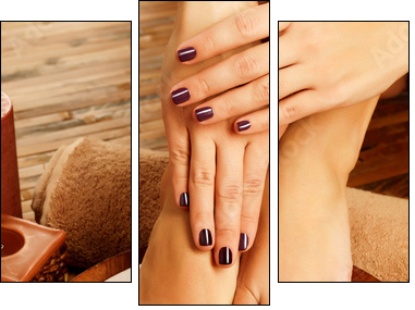 female feet at spa salon on pedicure procedure - Dreiteiliges Leinwandbild, Triptychon
