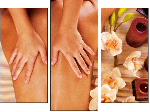 Masseur doing massage on woman back in spa salon - Dreiteiliges Leinwandbild, Triptychon