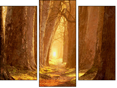 magic path - Dreiteiliges Leinwandbild, Triptychon