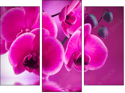 natural floral background, spa concept - Dreiteiliges Leinwandbild, Triptychon