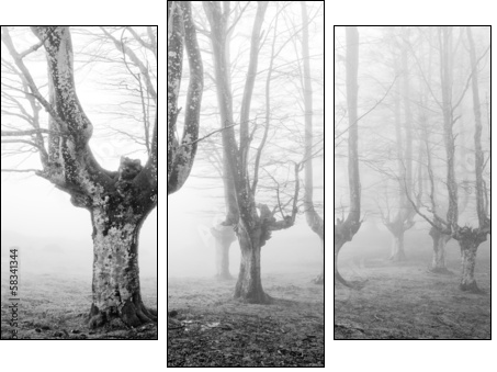 creepy forest with scary trees - Dreiteiliges Leinwandbild, Triptychon