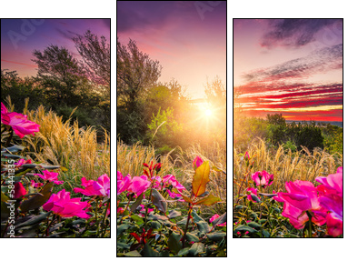 Backyard Sunrise - Dreiteiliges Leinwandbild, Triptychon