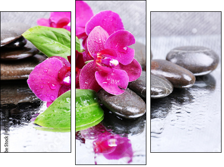 Composition with beautiful blooming orchid with water drops and - Dreiteiliges Leinwandbild, Triptychon