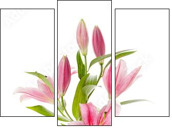 Pink lily - Dreiteiliges Leinwandbild, Triptychon