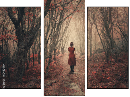 Woman and foggy forest. - Dreiteiliges Leinwandbild, Triptychon